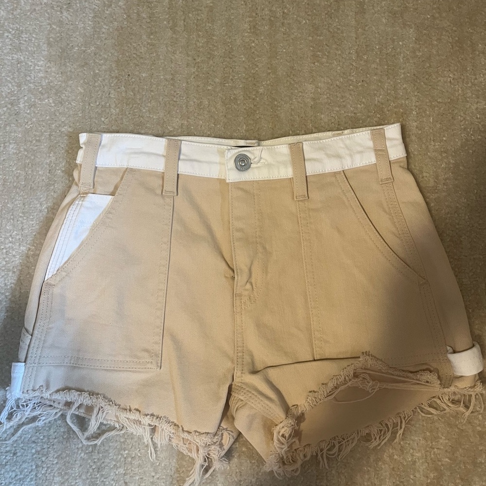 Hudson Jeans Carpenter Shorts